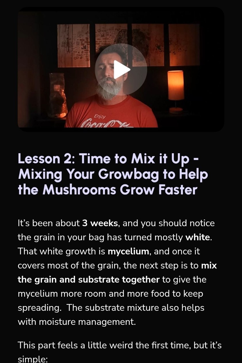 Preview of the Microdose School mixing lesson
